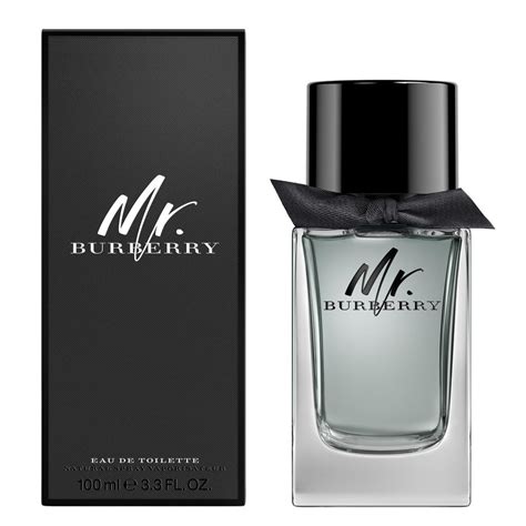 mr burberry piramide olfattiva|burberry fragrance for men.